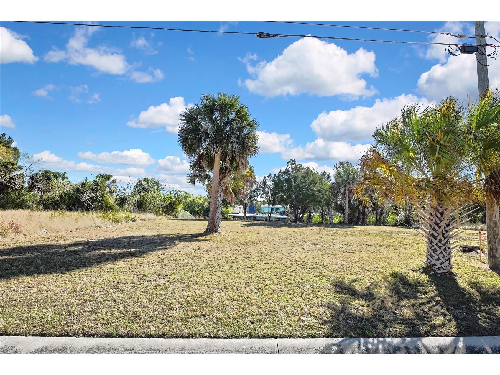 3202 Rose Arbor Drive Hernando Beach FL 34607 - BLUE GILL CANAL O6389037 image20