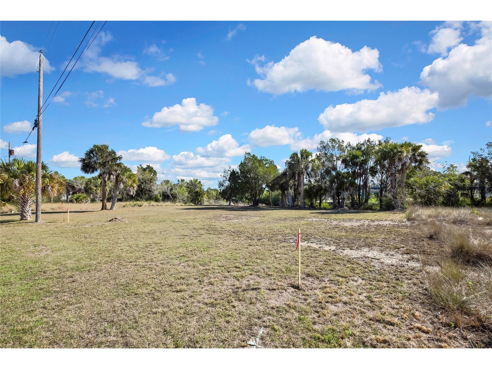 3202 Rose Arbor Drive Hernando Beach FL 34607 - BLUE GILL CANAL O6389037 image4