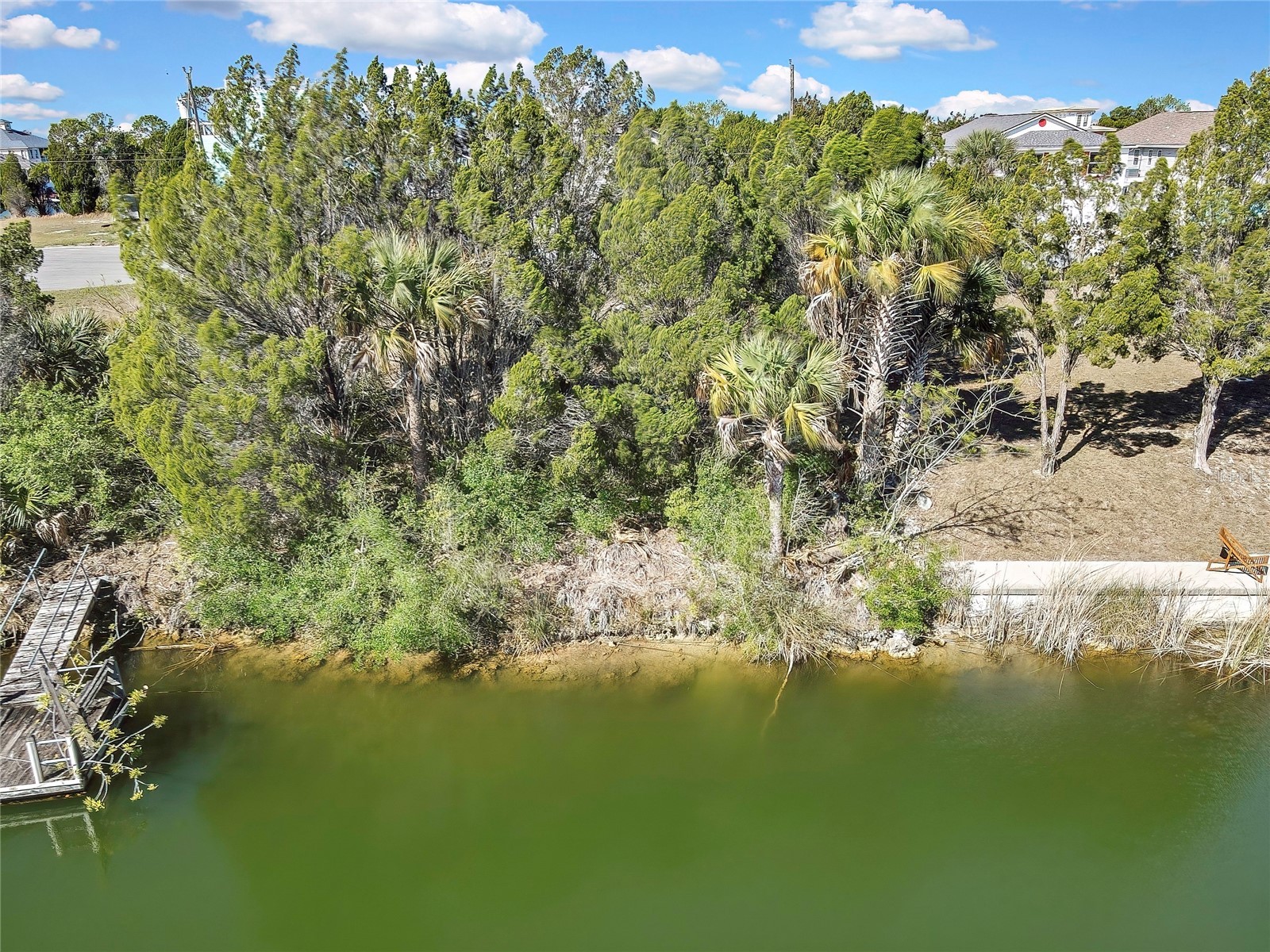 3202 Rose Arbor Drive Hernando Beach FL 34607 - BLUE GILL CANAL O6389037 image55
