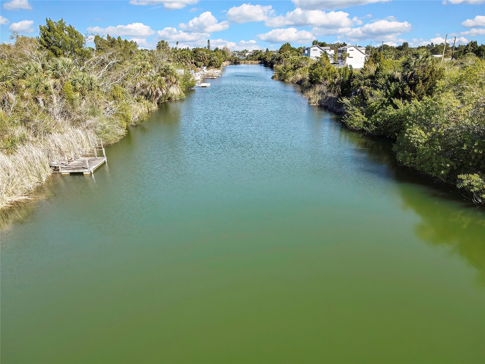 3202 Rose Arbor Drive Hernando Beach FL 34607 - BLUE GILL CANAL O6389037 image56
