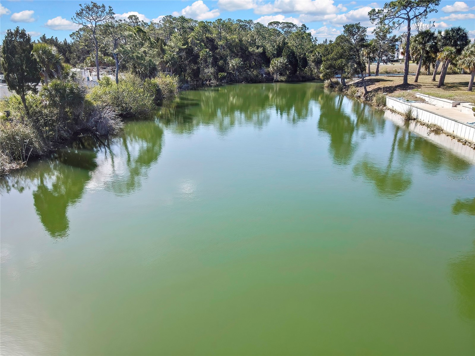 3202 Rose Arbor Drive Hernando Beach FL 34607 - BLUE GILL CANAL O6389037 image57