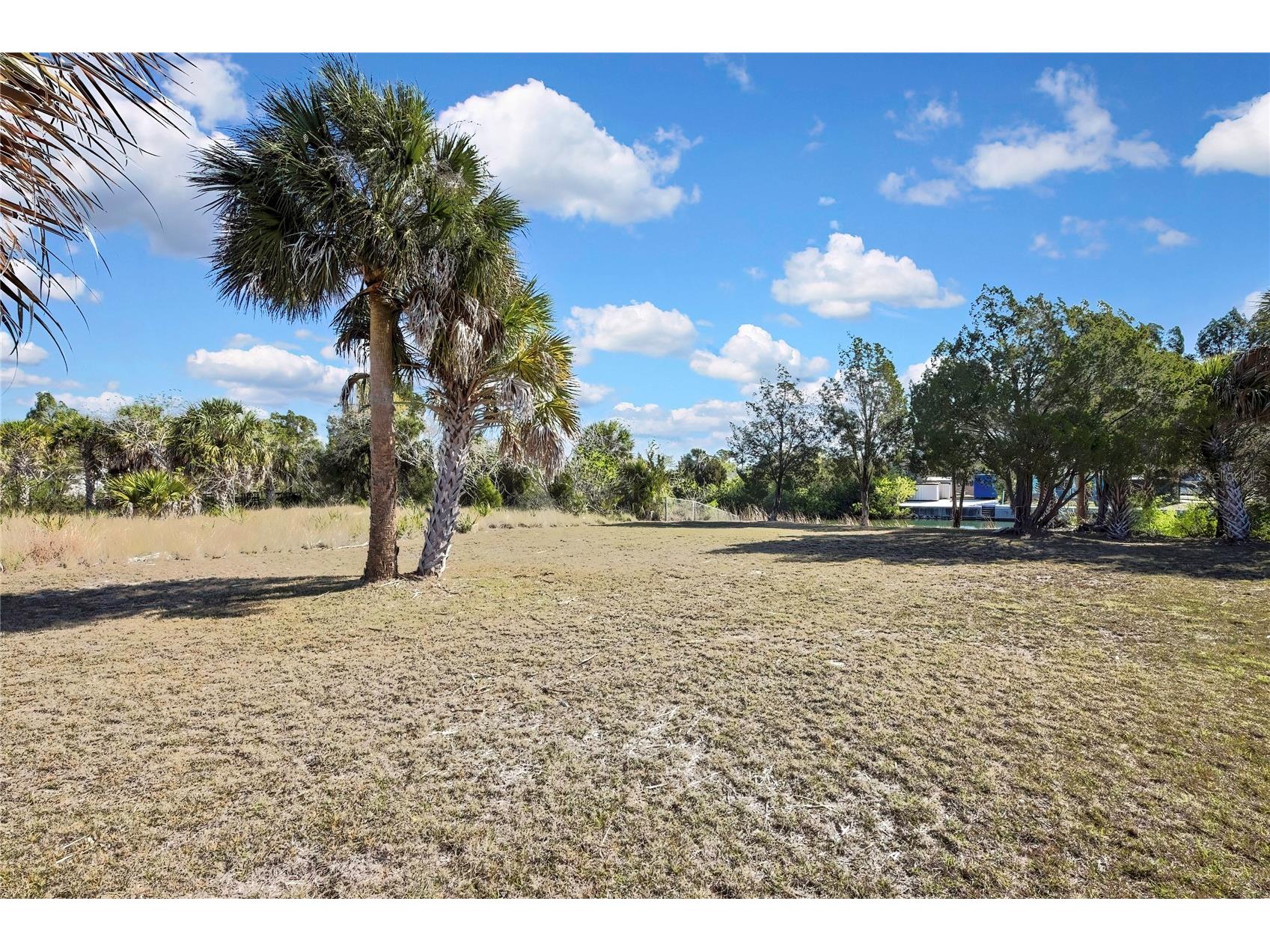 3202 Rose Arbor Drive Hernando Beach FL 34607 - BLUE GILL CANAL O6389037 image9