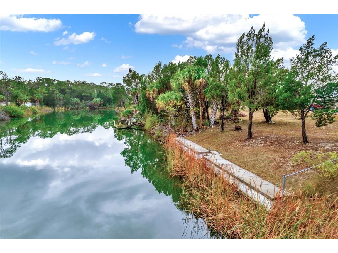 3202 Rose Arbor Drive Hernando Beach FL 34607 T3500492 image4