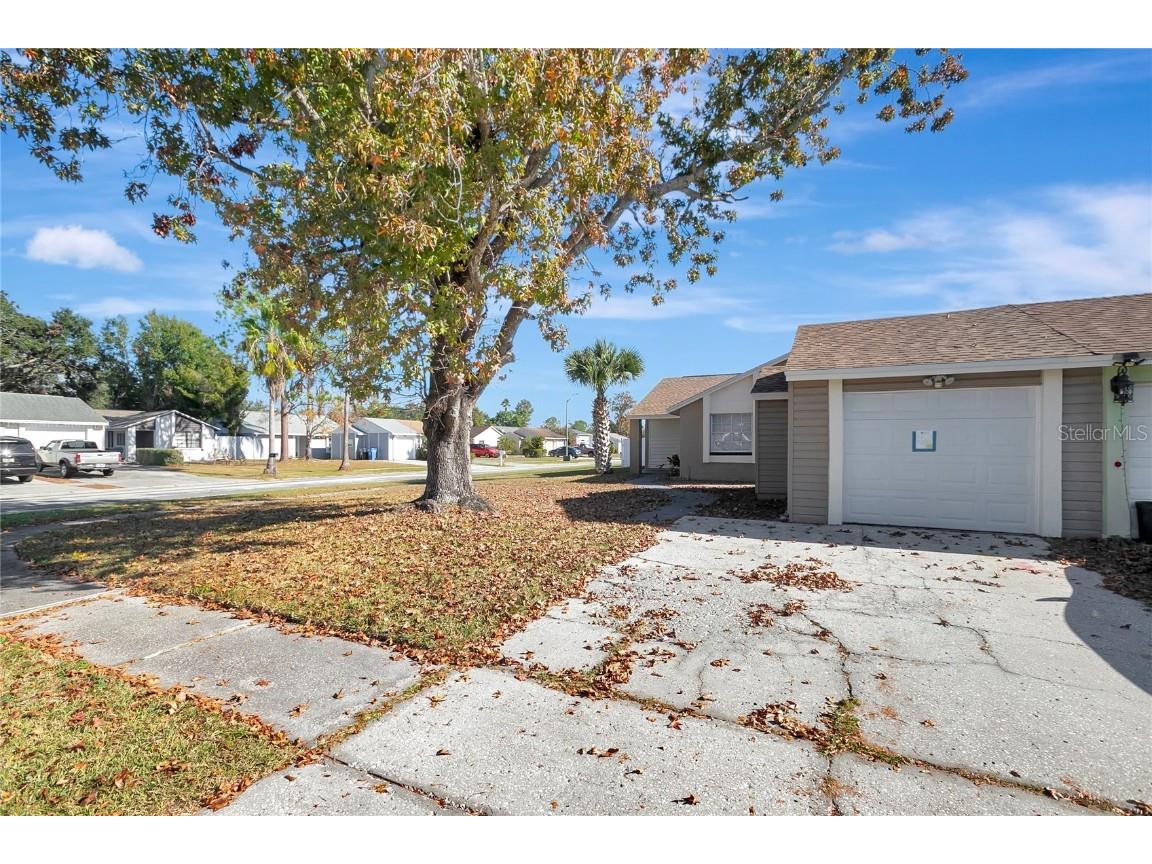 3202 Russett Drive Tampa FL 33618 TB8452518 image2