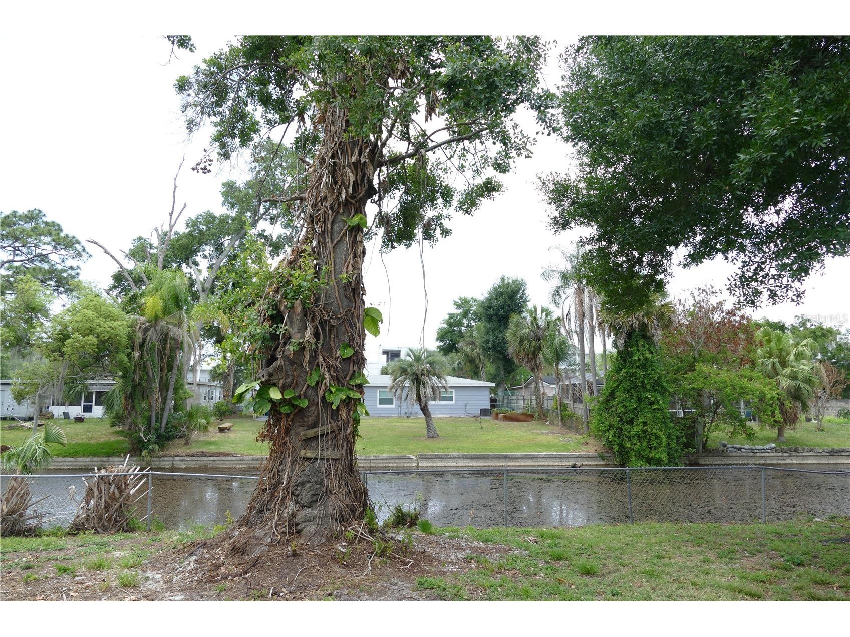 3202 Tradewinds Trail Orlando FL 32805 - Clear Lake O6407323 image32