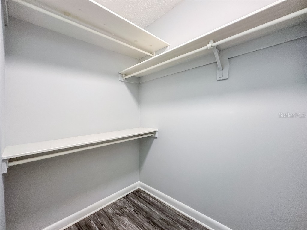 3202 W De Leon Street #B Tampa FL 33609 TB8417996 image16