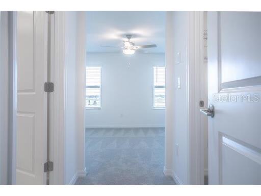 32025 Powderpuff Mimosa Dr San Antonio FL 33576 TB8448228 image13