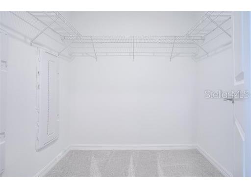 32025 Powderpuff Mimosa Dr San Antonio FL 33576 TB8448228 image15