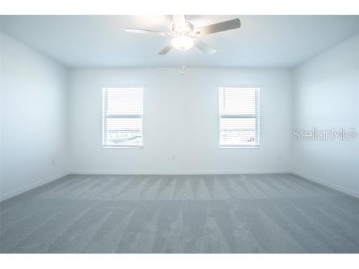 32025 Powderpuff Mimosa Dr San Antonio FL 33576 TB8448228 image16