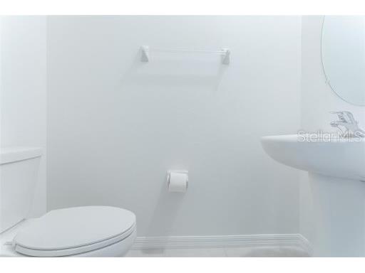 32025 Powderpuff Mimosa Dr San Antonio FL 33576 TB8448228 image7