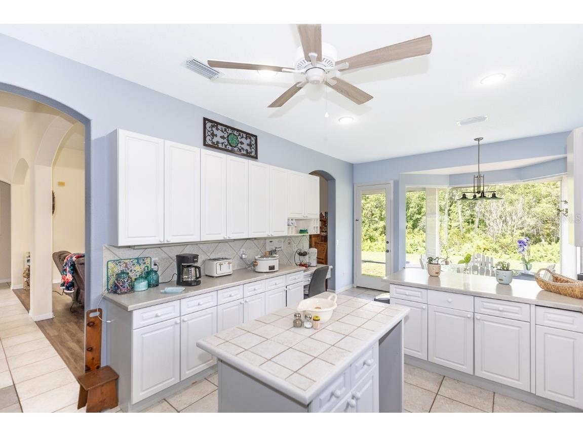 32025 Timberlake Drive Mount Dora FL 32757 G5098698 image37