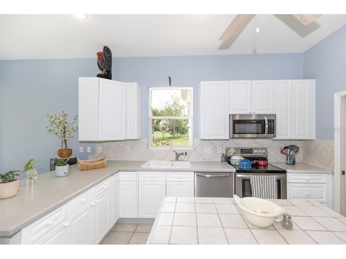 32025 Timberlake Drive Mount Dora FL 32757 G5098698 image39