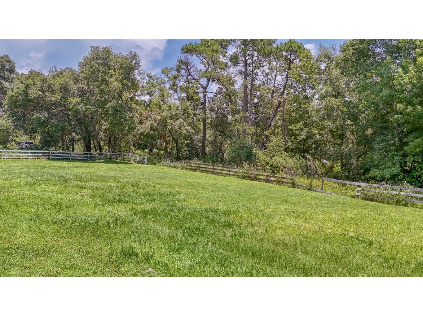 32025 Timberlake Drive Mount Dora FL 32757 G5098698 image45