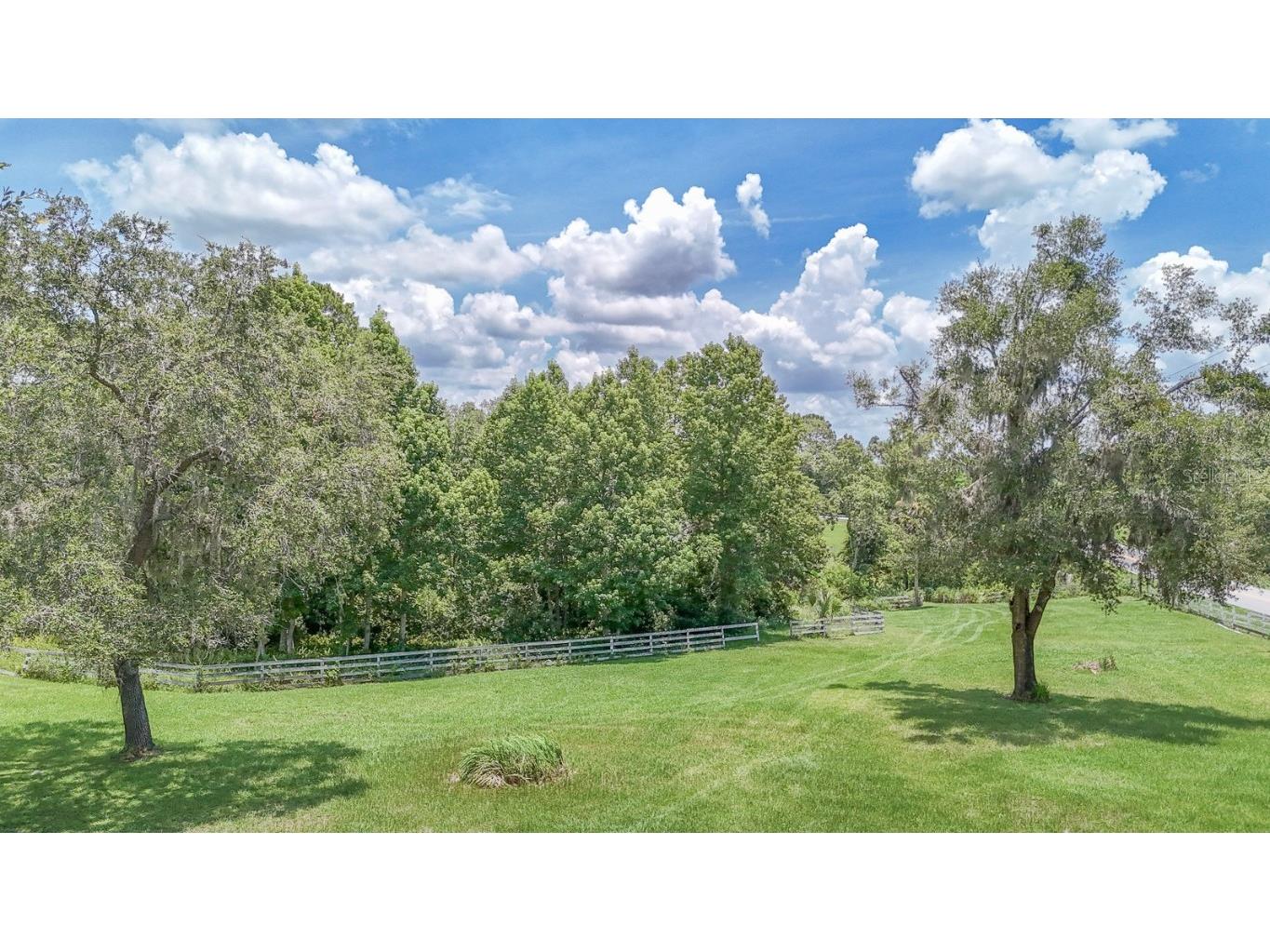 32025 Timberlake Drive Mount Dora FL 32757 G5098698 image49