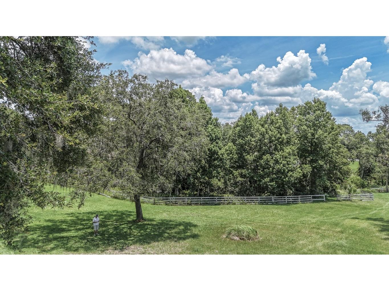 32025 Timberlake Drive Mount Dora FL 32757 G5098698 image50