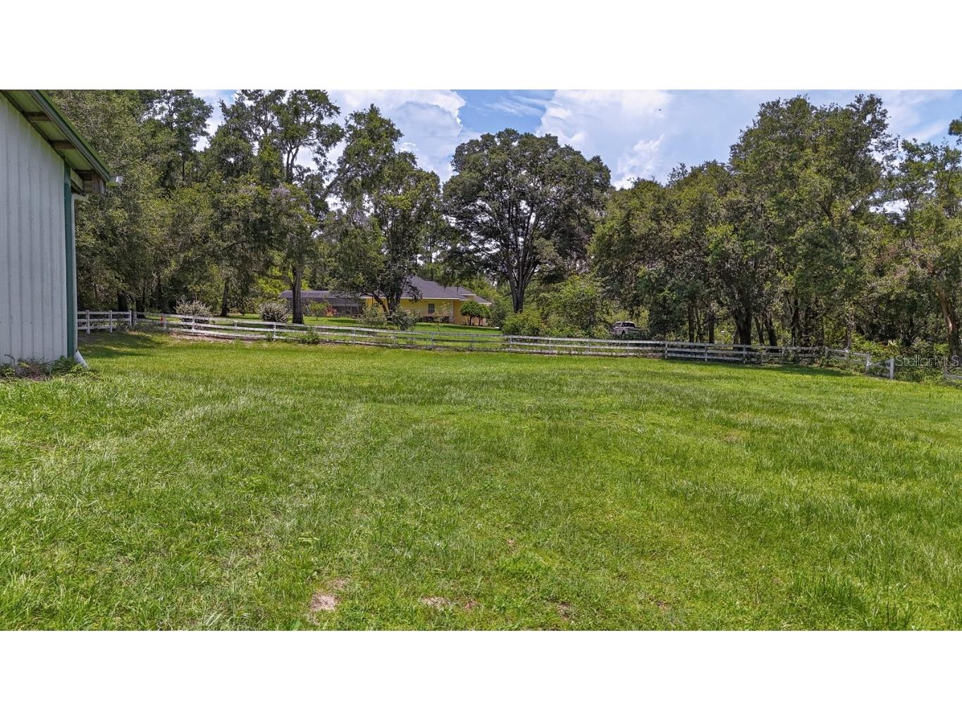 32025 Timberlake Drive Mount Dora FL 32757 G5098698 image53
