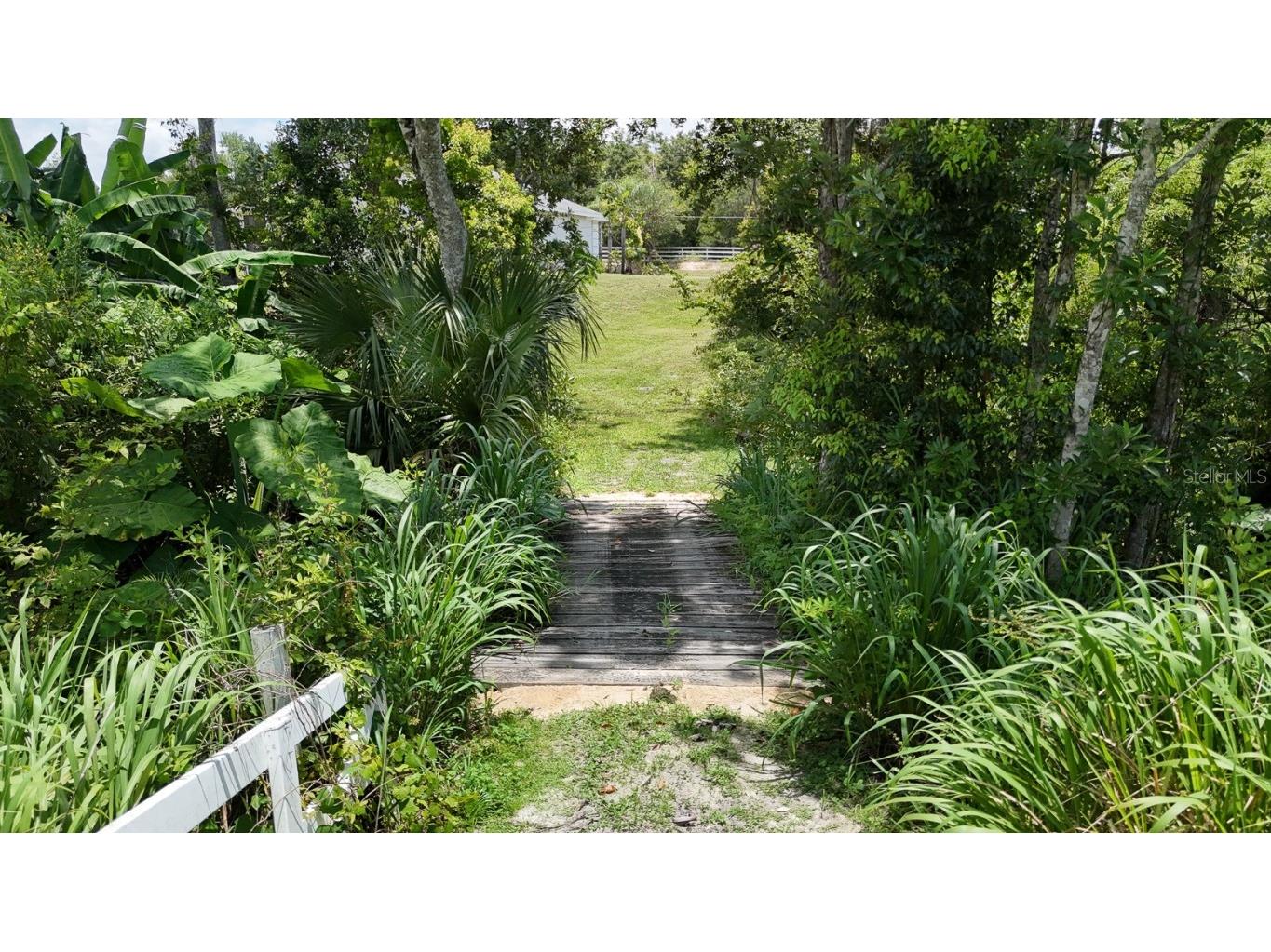 32025 Timberlake Drive Mount Dora FL 32757 G5098698 image54