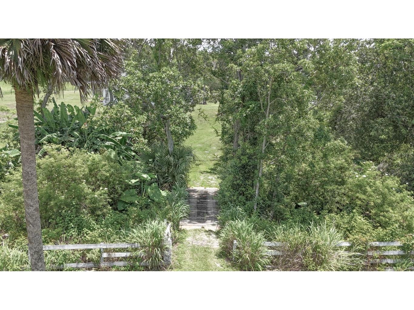 32025 Timberlake Drive Mount Dora FL 32757 G5098698 image55