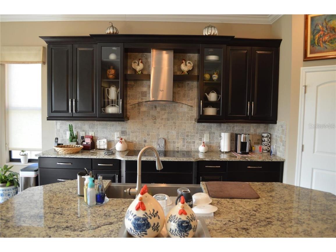 32026 Wenlock Loop Wesley Chapel FL 33543 O6334448 image21