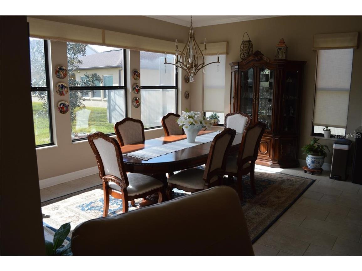 32026 Wenlock Loop Wesley Chapel FL 33543 O6334448 image23