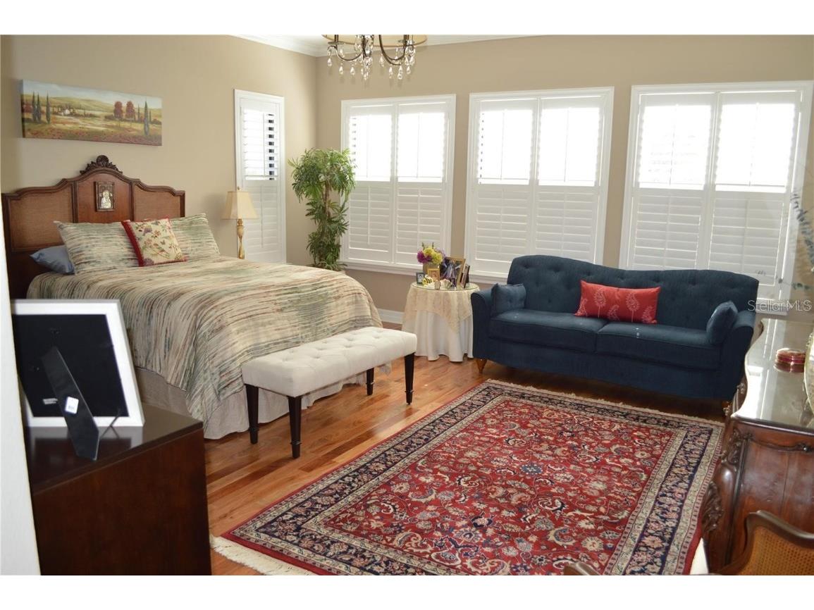 32026 Wenlock Loop Wesley Chapel FL 33543 O6334448 image31