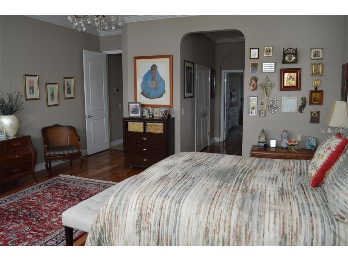 32026 Wenlock Loop Wesley Chapel FL 33543 O6334448 image33