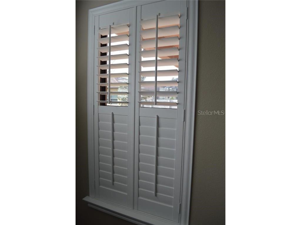 32026 Wenlock Loop Wesley Chapel FL 33543 O6334448 image35