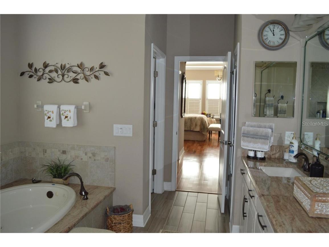 32026 Wenlock Loop Wesley Chapel FL 33543 O6334448 image37