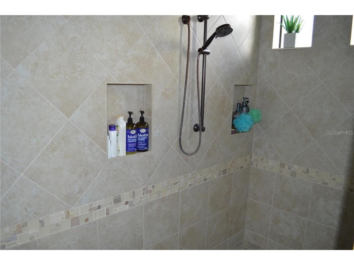 32026 Wenlock Loop Wesley Chapel FL 33543 O6334448 image38