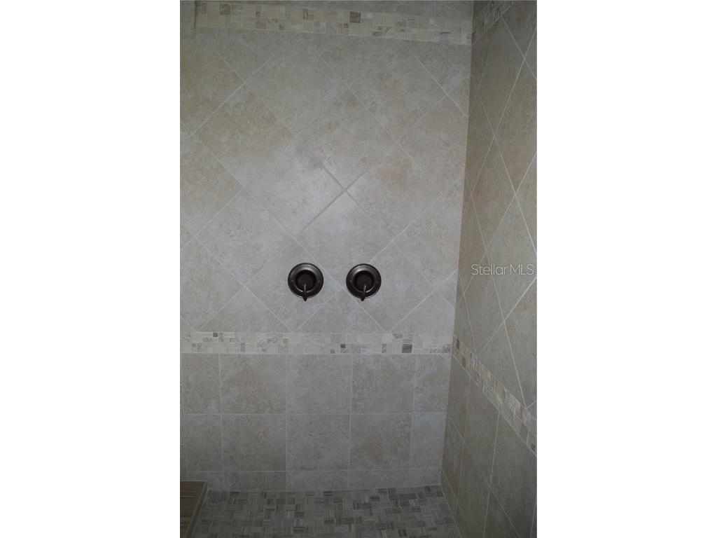 32026 Wenlock Loop Wesley Chapel FL 33543 O6334448 image40