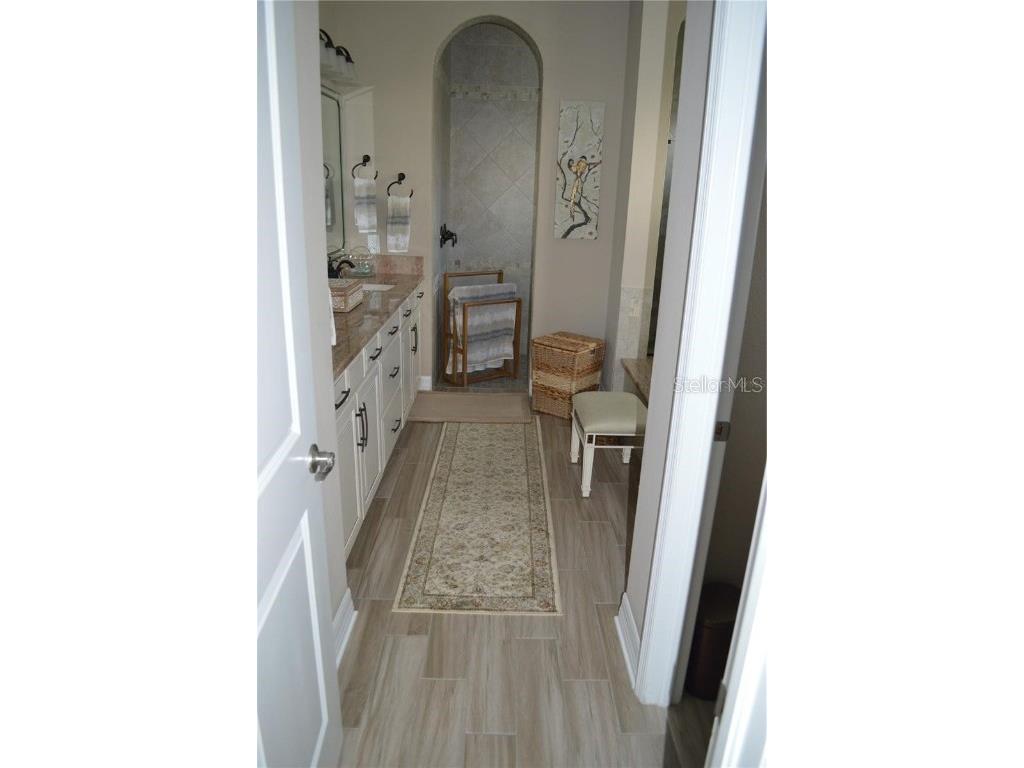 32026 Wenlock Loop Wesley Chapel FL 33543 O6334448 image41