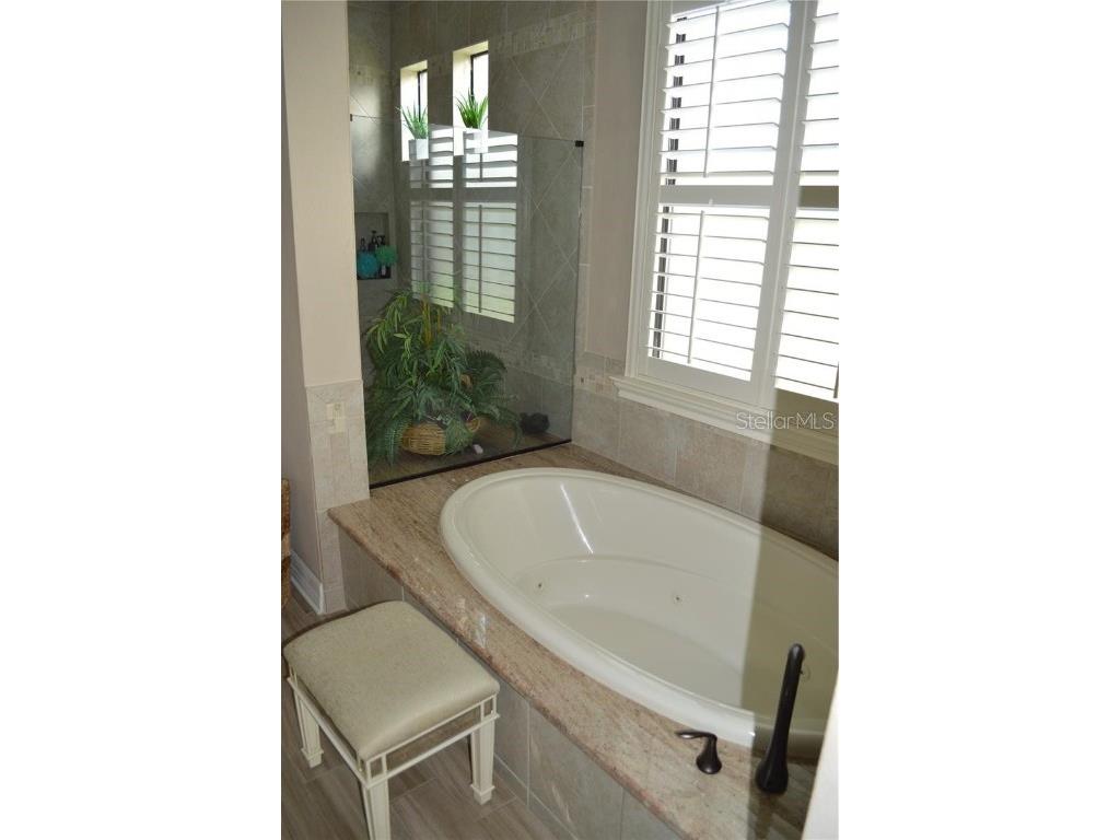 32026 Wenlock Loop Wesley Chapel FL 33543 O6334448 image43