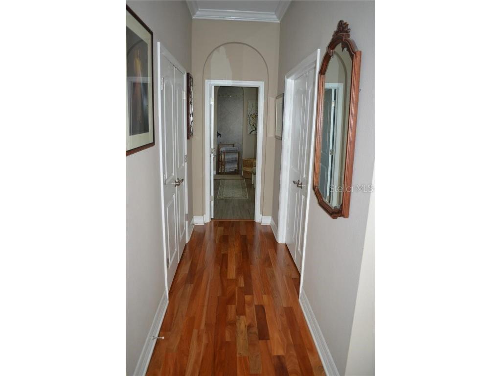 32026 Wenlock Loop Wesley Chapel FL 33543 O6334448 image46