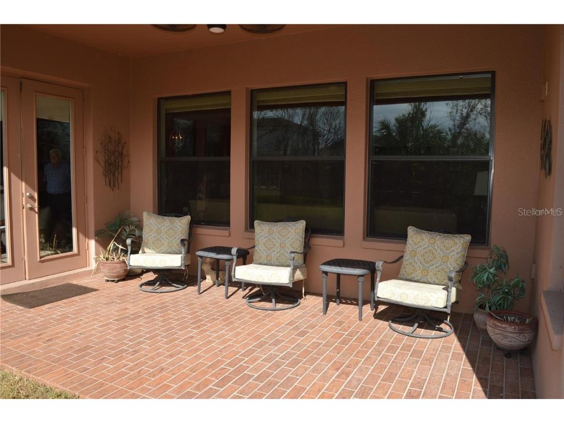 32026 Wenlock Loop Wesley Chapel FL 33543 O6334448 image51