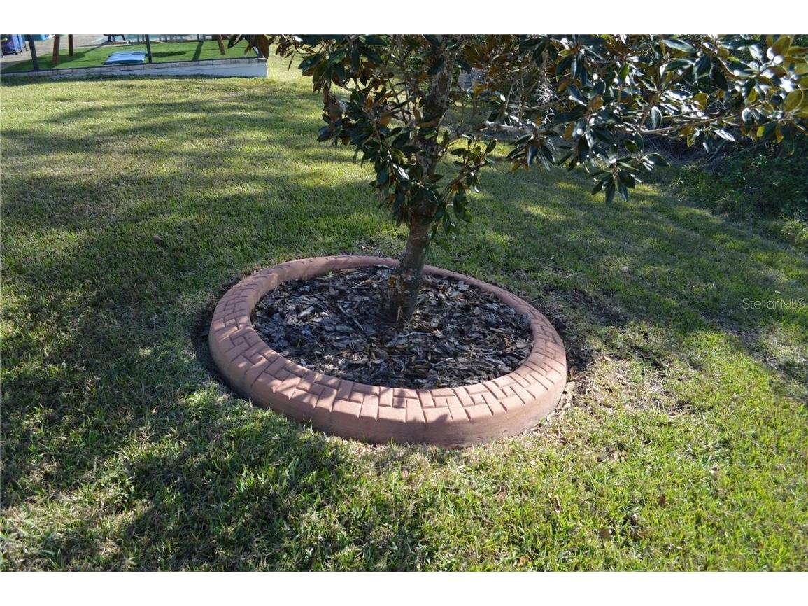 32026 Wenlock Loop Wesley Chapel FL 33543 O6334448 image52