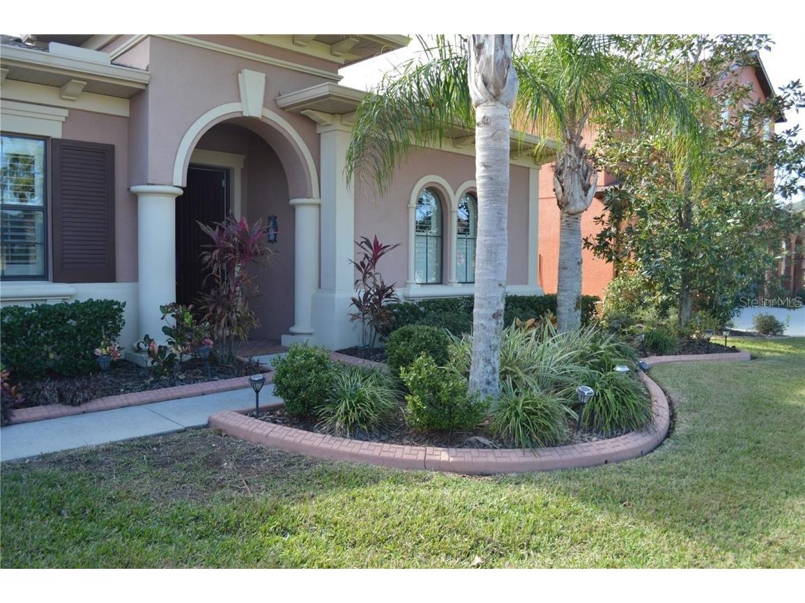 32026 Wenlock Loop Wesley Chapel FL 33543 O6334448 image6