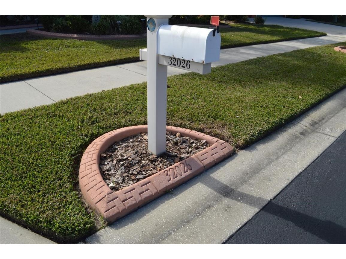 32026 Wenlock Loop Wesley Chapel FL 33543 O6334448 image9