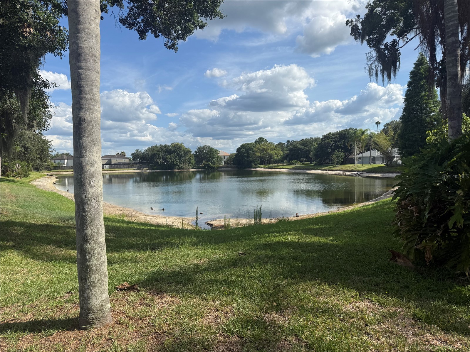 3203 Alcott Avenue Plant City FL 33566 TB8516667 image40