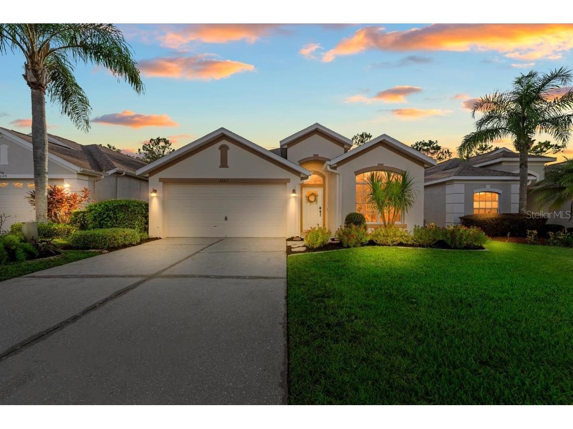 3203 Banyan Hill Lane Land O Lakes FL 34639 TB8415627 image1