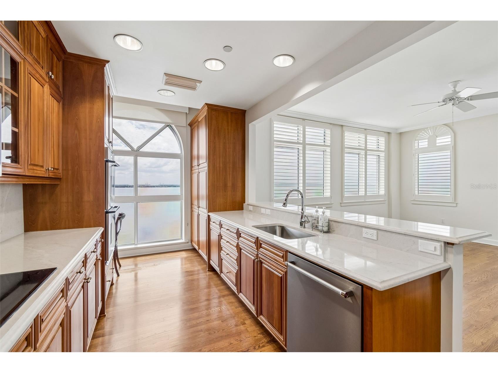 3203 Bayshore Boulevard #1202 Tampa FL 33629 TB8517057 image20