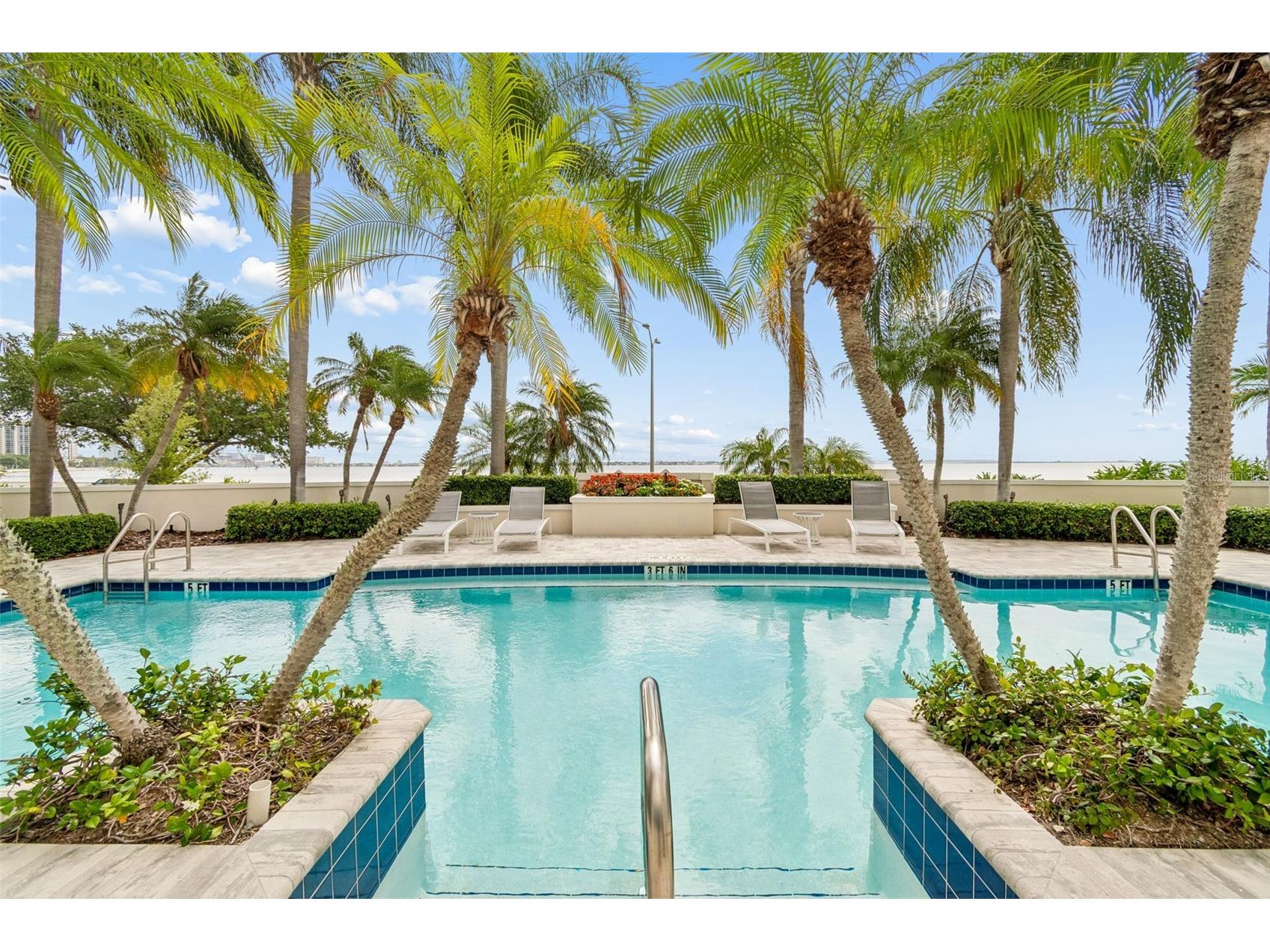 3203 Bayshore Boulevard #1202 Tampa FL 33629 TB8517057 image6