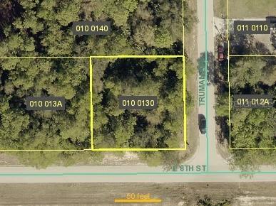 3203 E 8th Street Lehigh Acres FL 33972 O6361011 image2