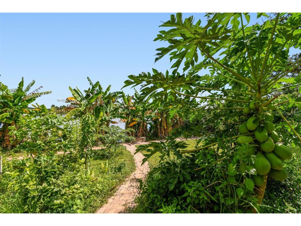 3203 E Yukon Street Tampa FL 33604 - HILLSBOROUGH RIVER TB8421181 image6