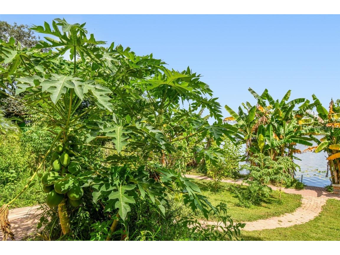 3203 E Yukon Street Tampa FL 33604 - HILLSBOROUGH RIVER TB8421181 image7