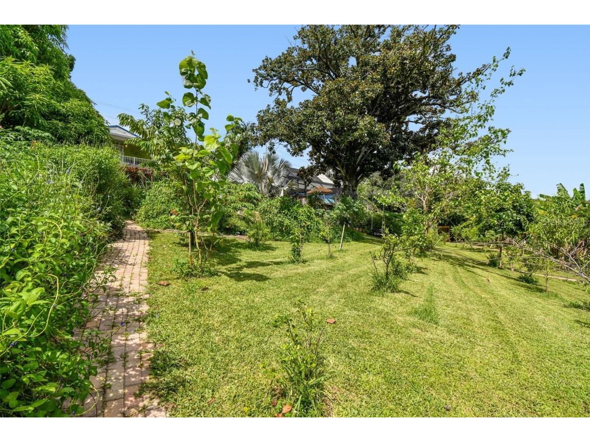 3203 E Yukon Street Tampa FL 33604 - HILLSBOROUGH RIVER TB8421181 image8