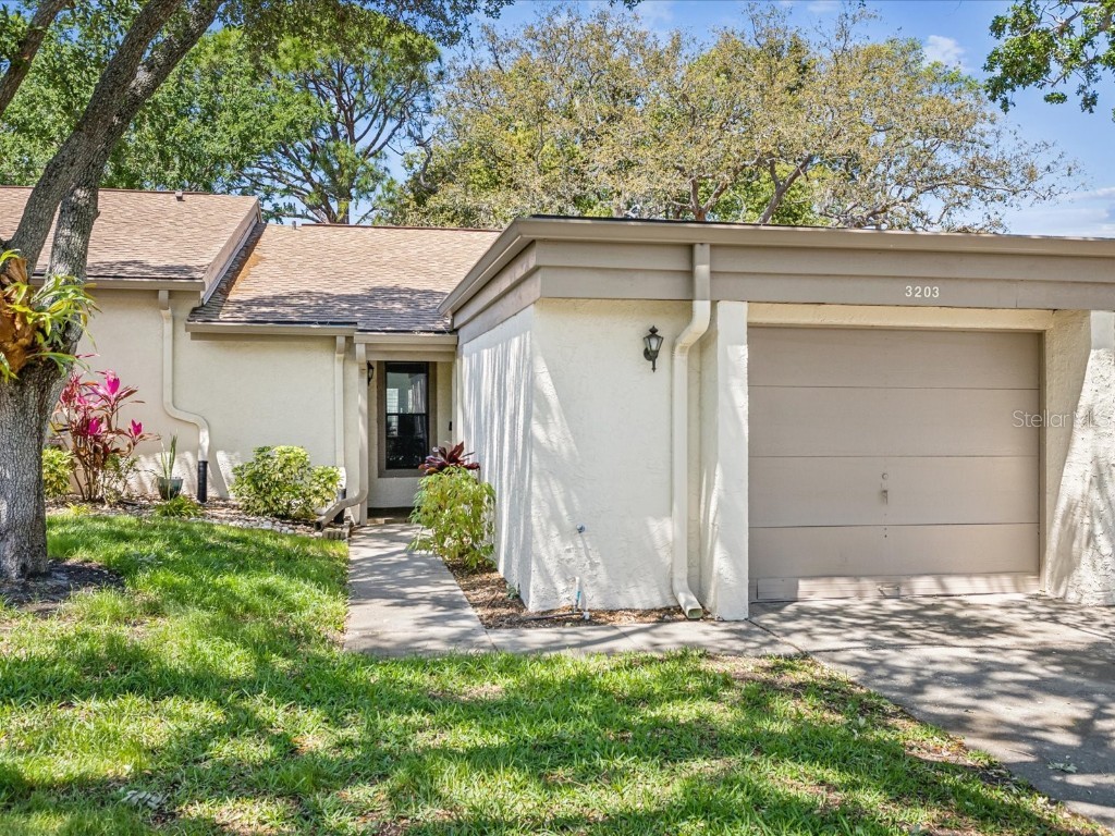 3203 Green Dolphin Street Tarpon Springs FL 34689 TB8375406 image1
