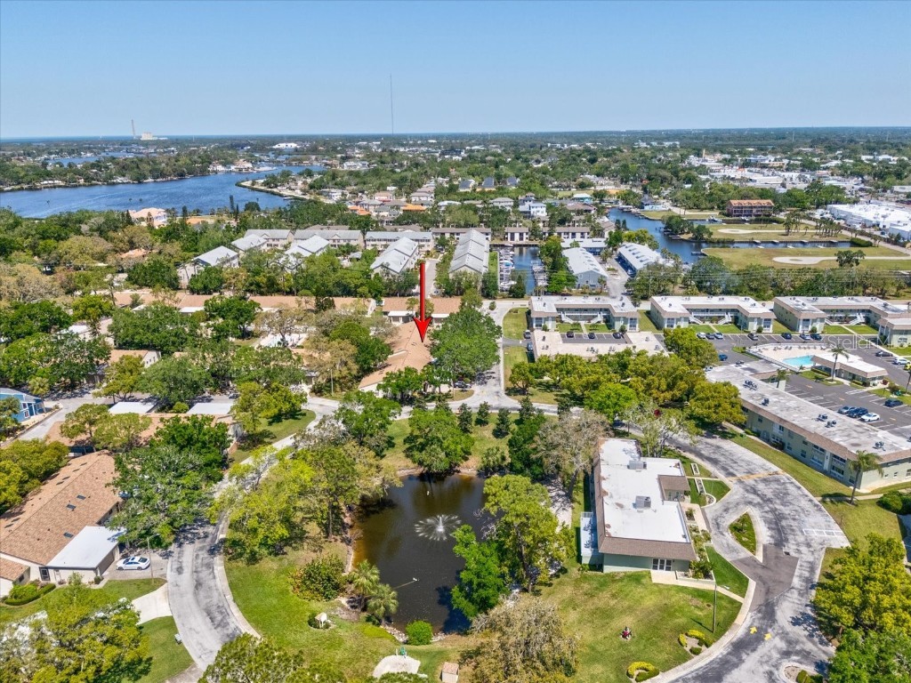 3203 Green Dolphin Street Tarpon Springs FL 34689 TB8375406 image20