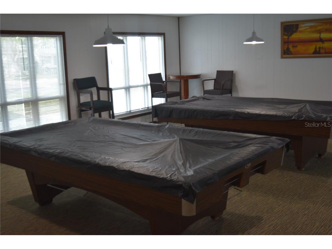 3203 Green Dolphin Street Tarpon Springs FL 34689 TB8375406 image23