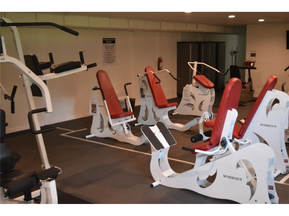 3203 Green Dolphin Street Tarpon Springs FL 34689 TB8375406 image25