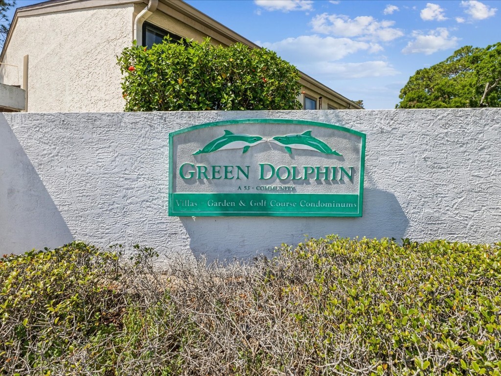 3203 Green Dolphin Street Tarpon Springs FL 34689 TB8375406 image26